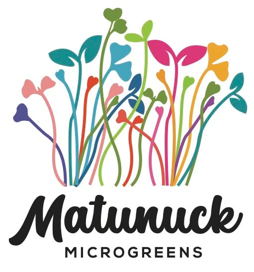 Matunuck Microgreens